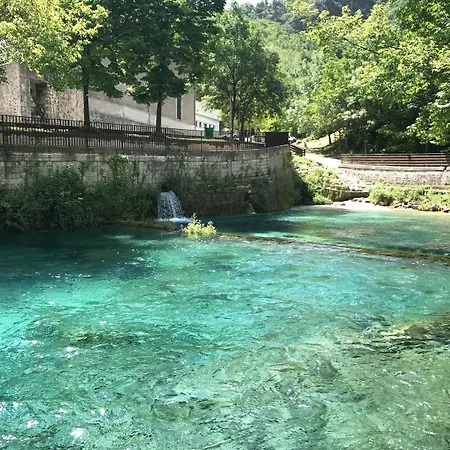 Casa Giulietta, Dogs Paradise *