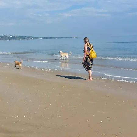 Holiday home Casa Giulietta, Dogs Paradise