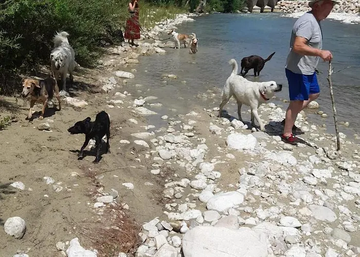 Σπίτι διακοπών Casa Giulietta, Dogs Paradise Civitella Messer Raimondo