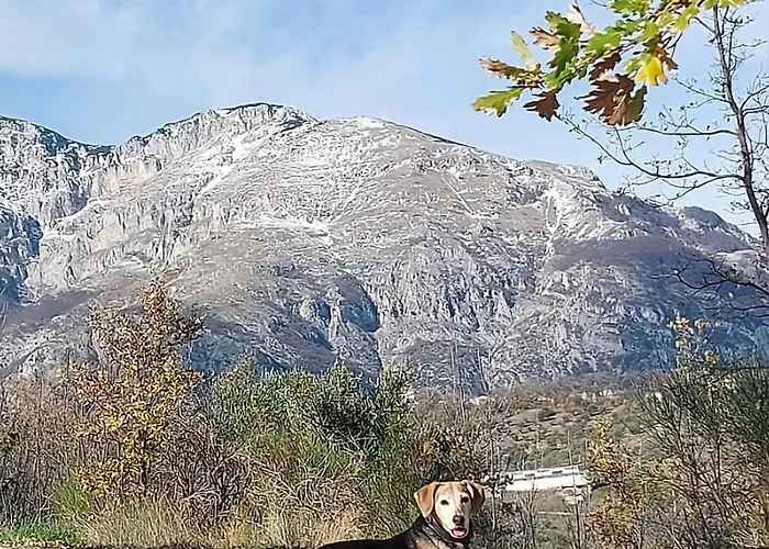 Σπίτι διακοπών Casa Giulietta, Dogs Paradise Civitella Messer Raimondo
